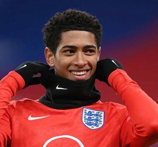 多纳鲁马：我很失望也很愤怒，要向所有意大利球迷说声对不起（多纳鲁马向意大利球迷致歉：我既失望又愤怒）